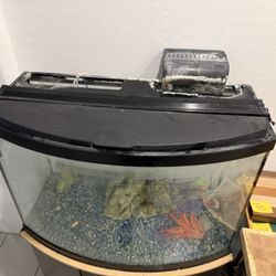 Medium Fish Tank No Filter 