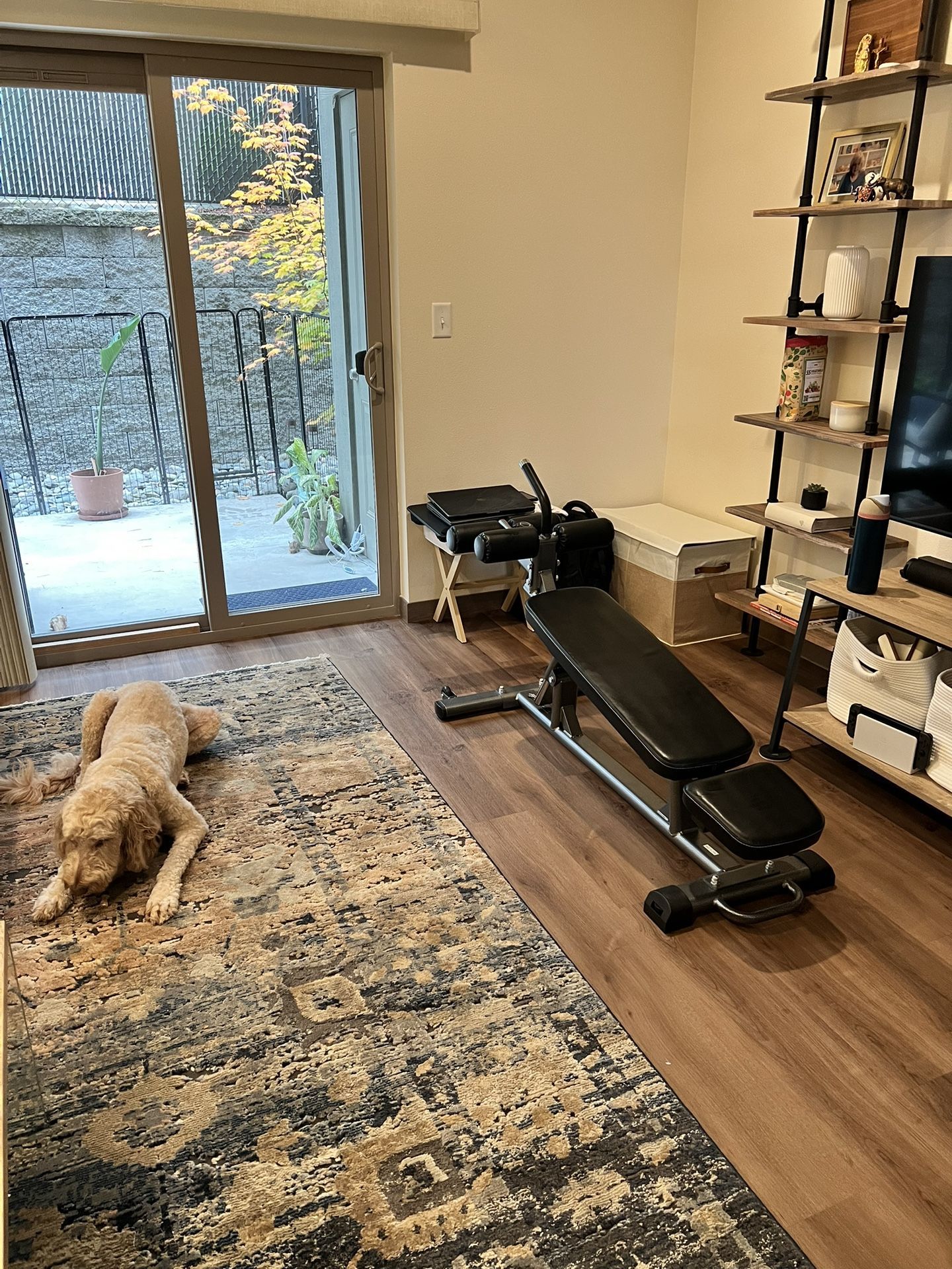 Finer Form Semi-Commercial Sit-Up Bench For Core Workouts and Decline Bench Press. Adjustable Weight Bench with Reverse Crunch Handle