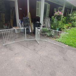 Dog Corral