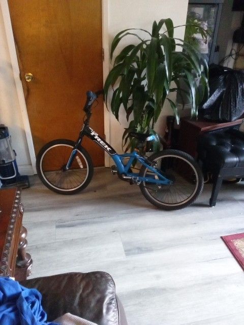 Trek Kids Bicycle 20"