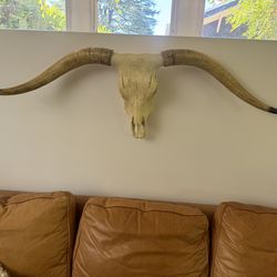 Super realistic faux cow skull with horns
