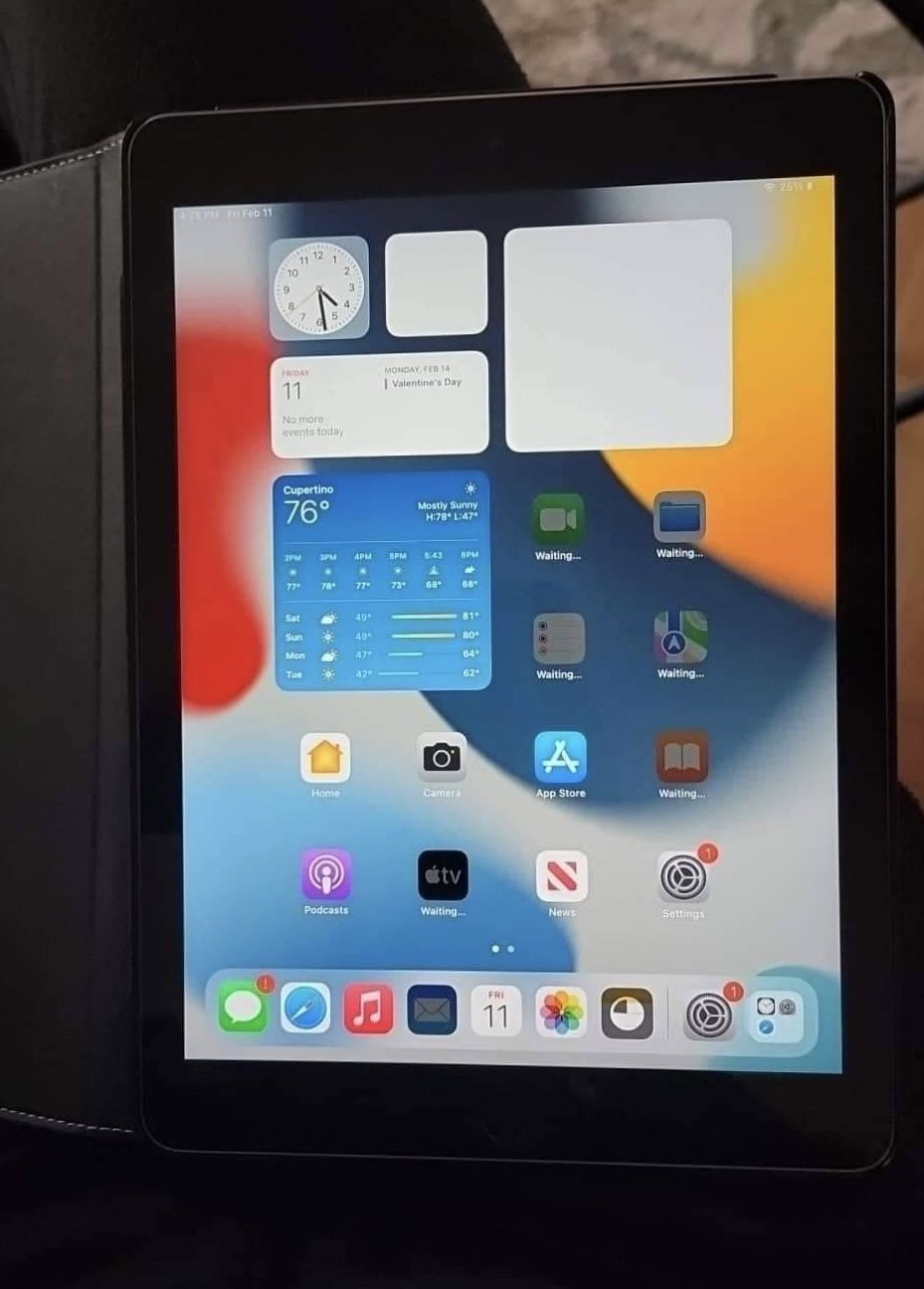 Apple iPad Air 2