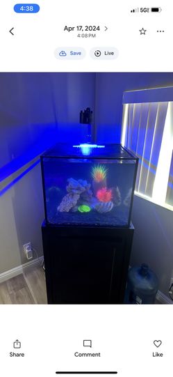 40gal Glass Aquarium