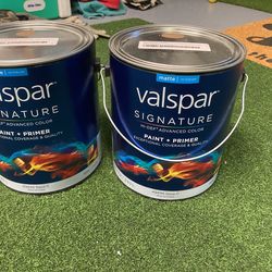 Valspar Indoor Matte Brown Paint