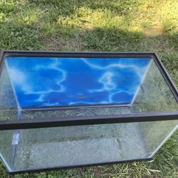 10 gallon tank 