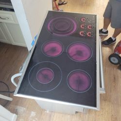 WOLF ELETRIC COOKTOP 36" 