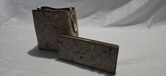 Coach Bag Plus Wallet