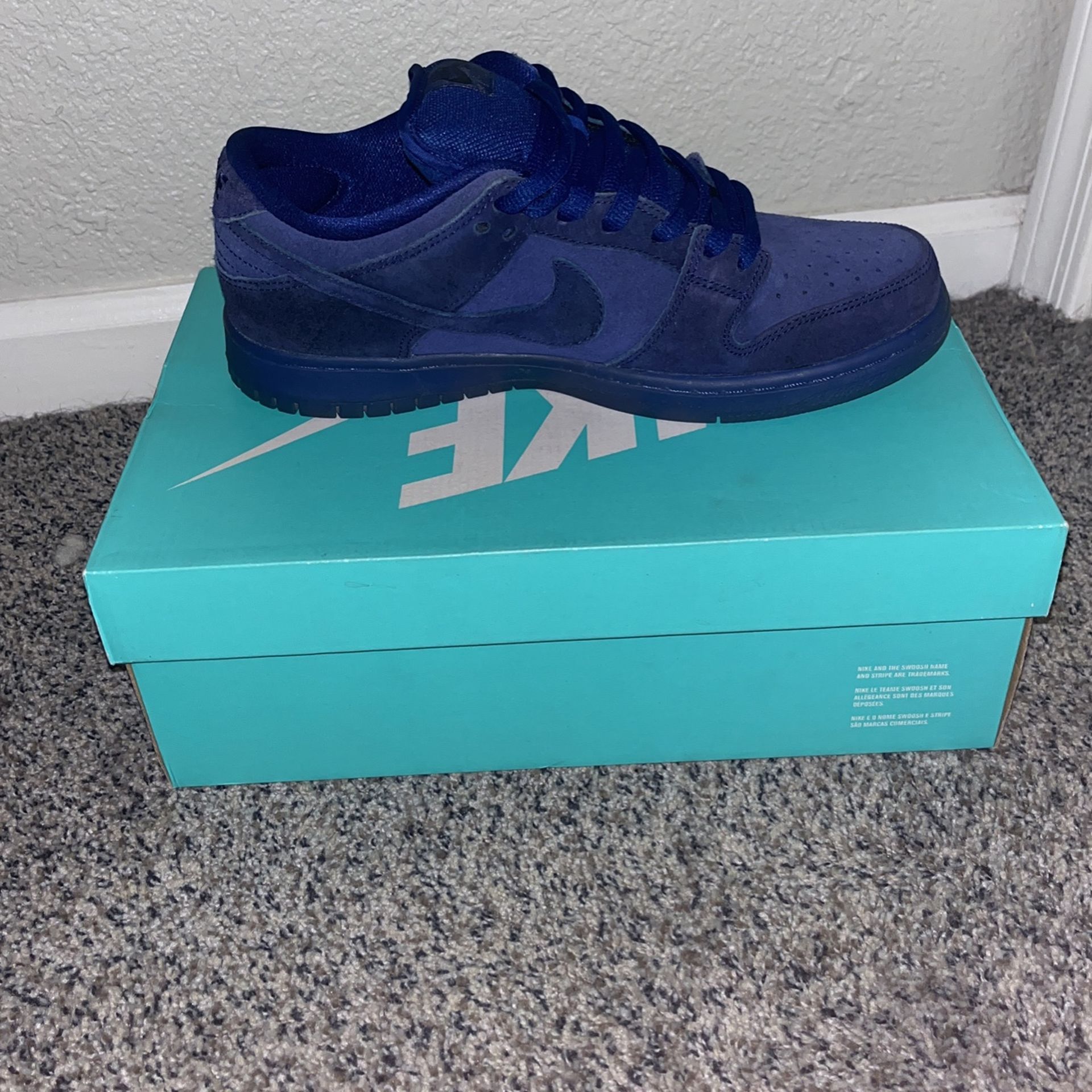 NIKE DUNK SB LOW BLUE MOON