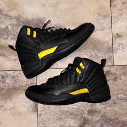2022 Air Jordan 12 Retro Black Taxi Size 10.5