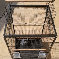 Bird Cage New
