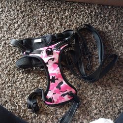 Dogs color in leash$25 For Both 