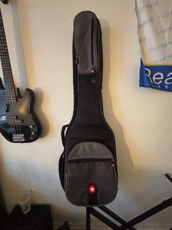 Road Runner Boulevard Series gig bag
