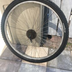 Rear Tire And Rim Size 29"