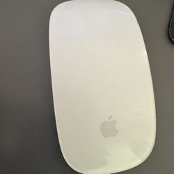 apple magic mouse