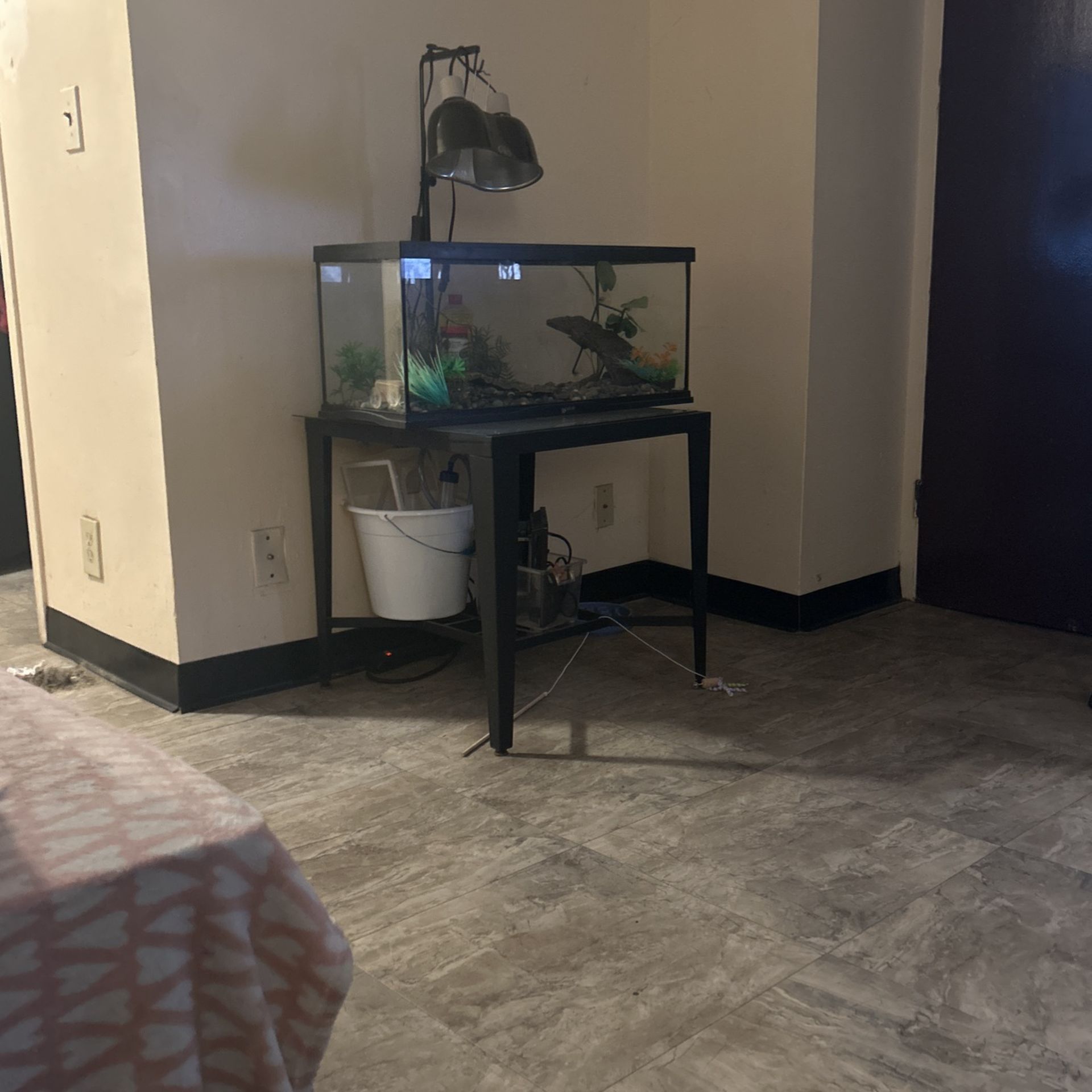 Aquarium, Amphibian And Reptile Lamp  And Other  Stuff