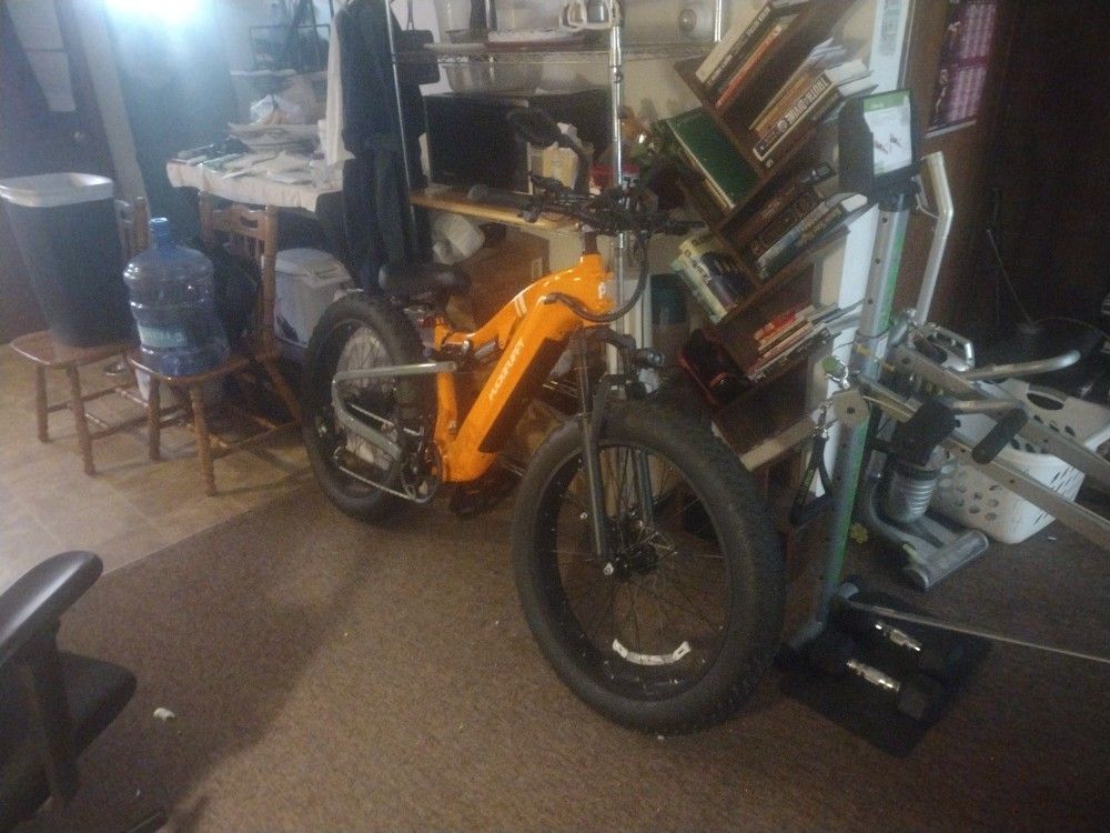 Electric Bike