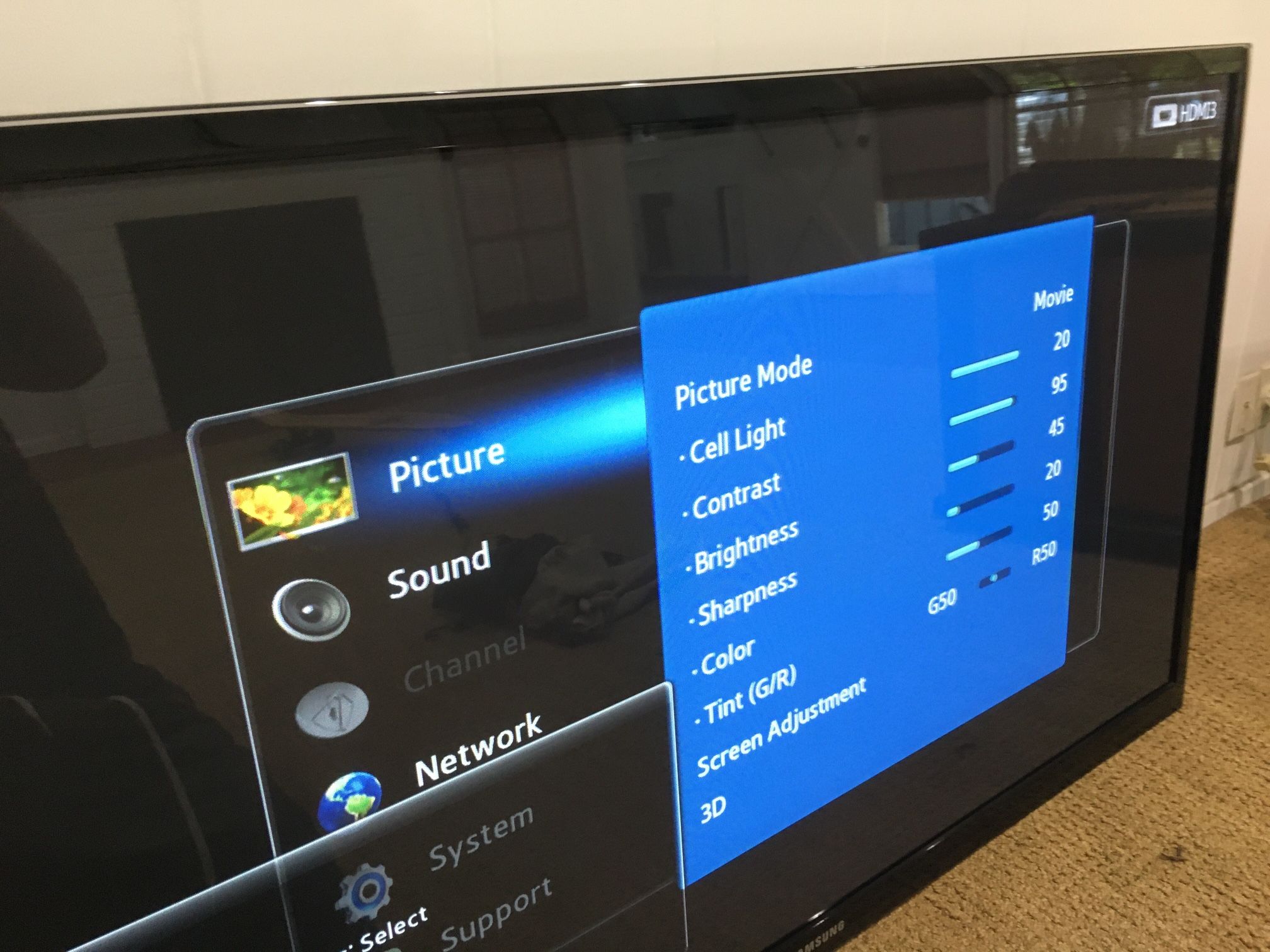 60” Samsung Plasma TV With Mount