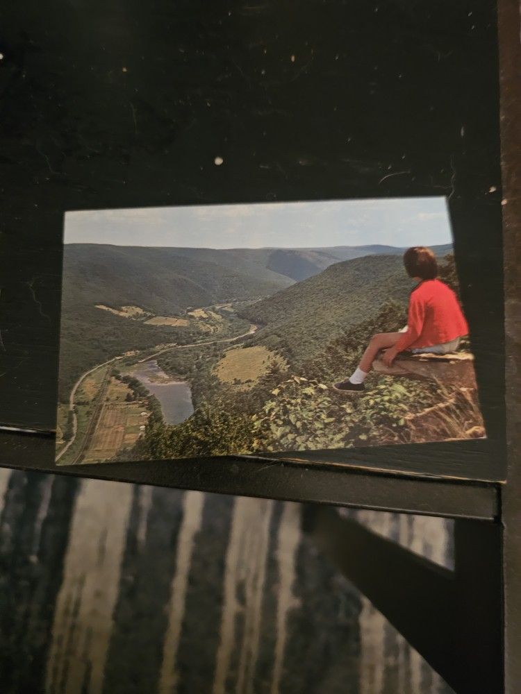 Pine Creek Vintage Postcard 