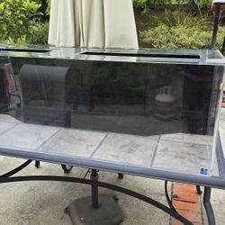 Seaclear System II Aquarium 100 gal with AIO built in filter/bioballs & extras