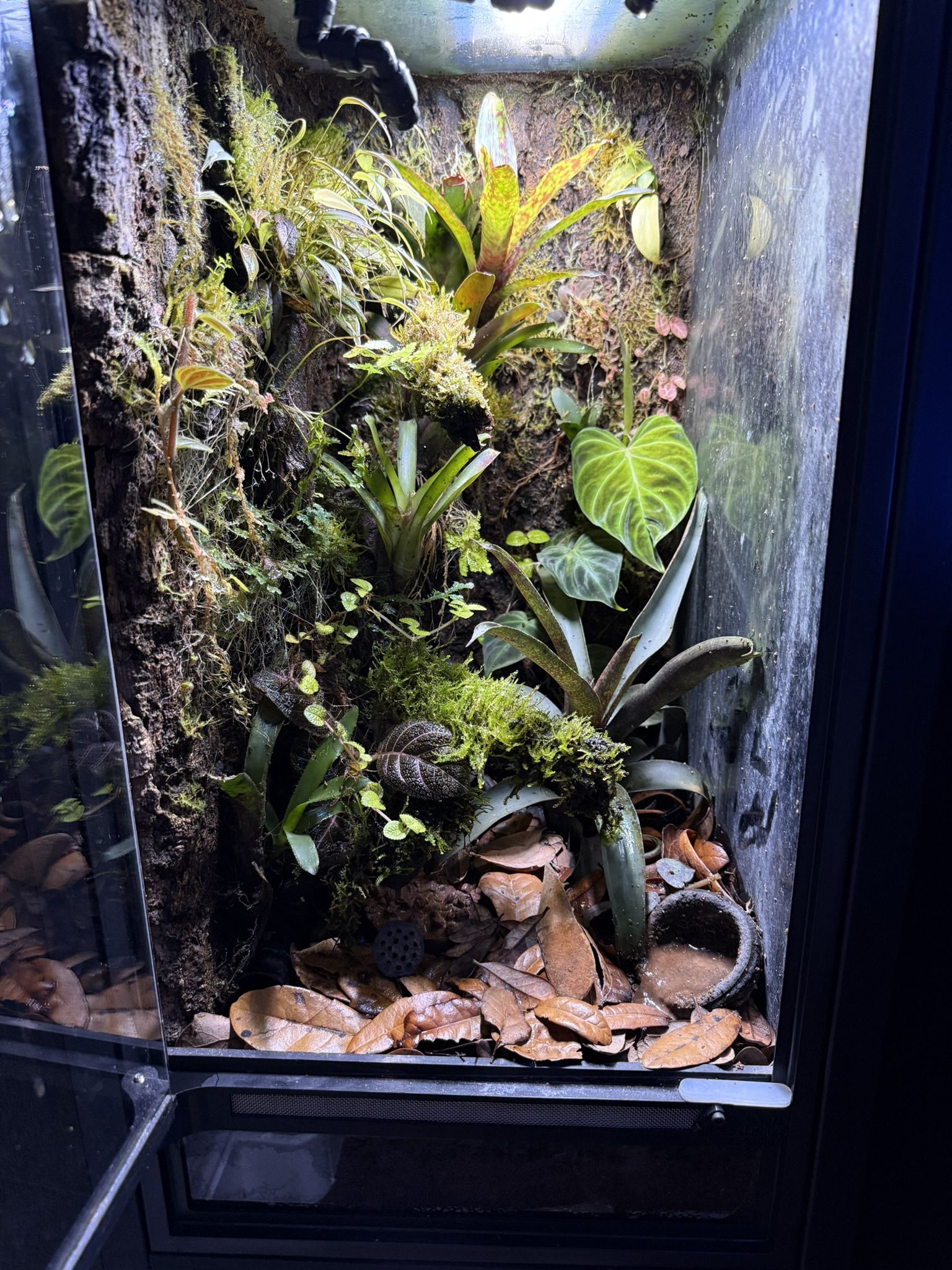Terrariums With Stand