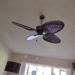 Free If You Put My New Fan Up For Me 