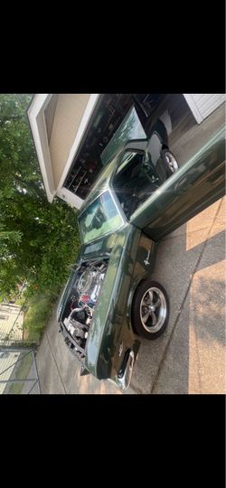 1966 did Mustang