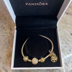 Pandora Moments Sparkling Crown O Snake Chain Bracelet With Charms