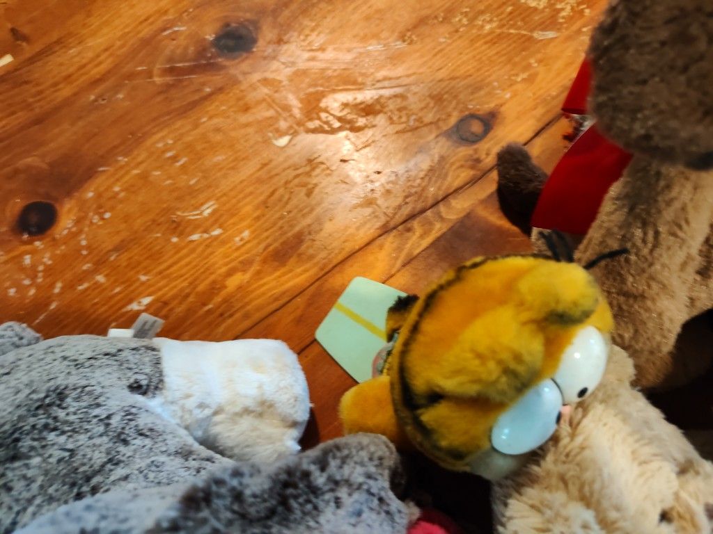 All Stuffed Animals Are Grounded Of 10 $90.00 House Pick Up
