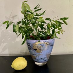 Unique Tim Lazer art glass vase from 1989