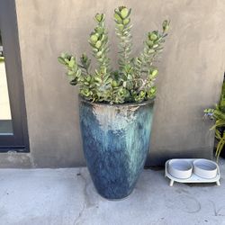 Outdoor Planter