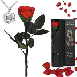 Preserved Rose with Necklace