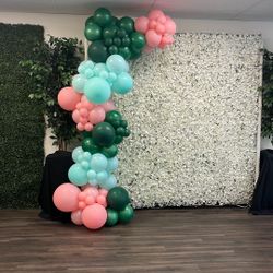Balloon Arch
