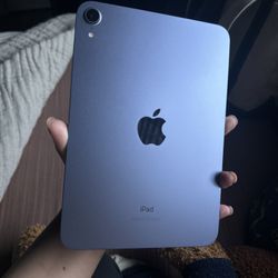 iPad Mini 6 64GB In Purple. 