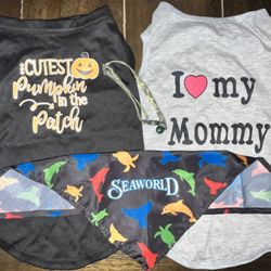 Pet Accessories 