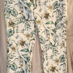Zara Pant Spring Summer Sixe XL Pantalon Primavera Verano