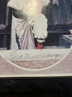 Signed Ted Williams Photo And Cards