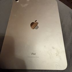 iPad 