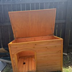 Dog House 