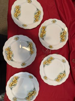 Royal Kent China Yellow Daffodil 