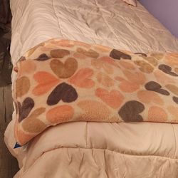 Twin Bed Frame And Foam Mattress. 