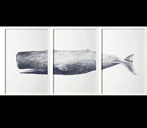 3 piece Sperm whale picture.