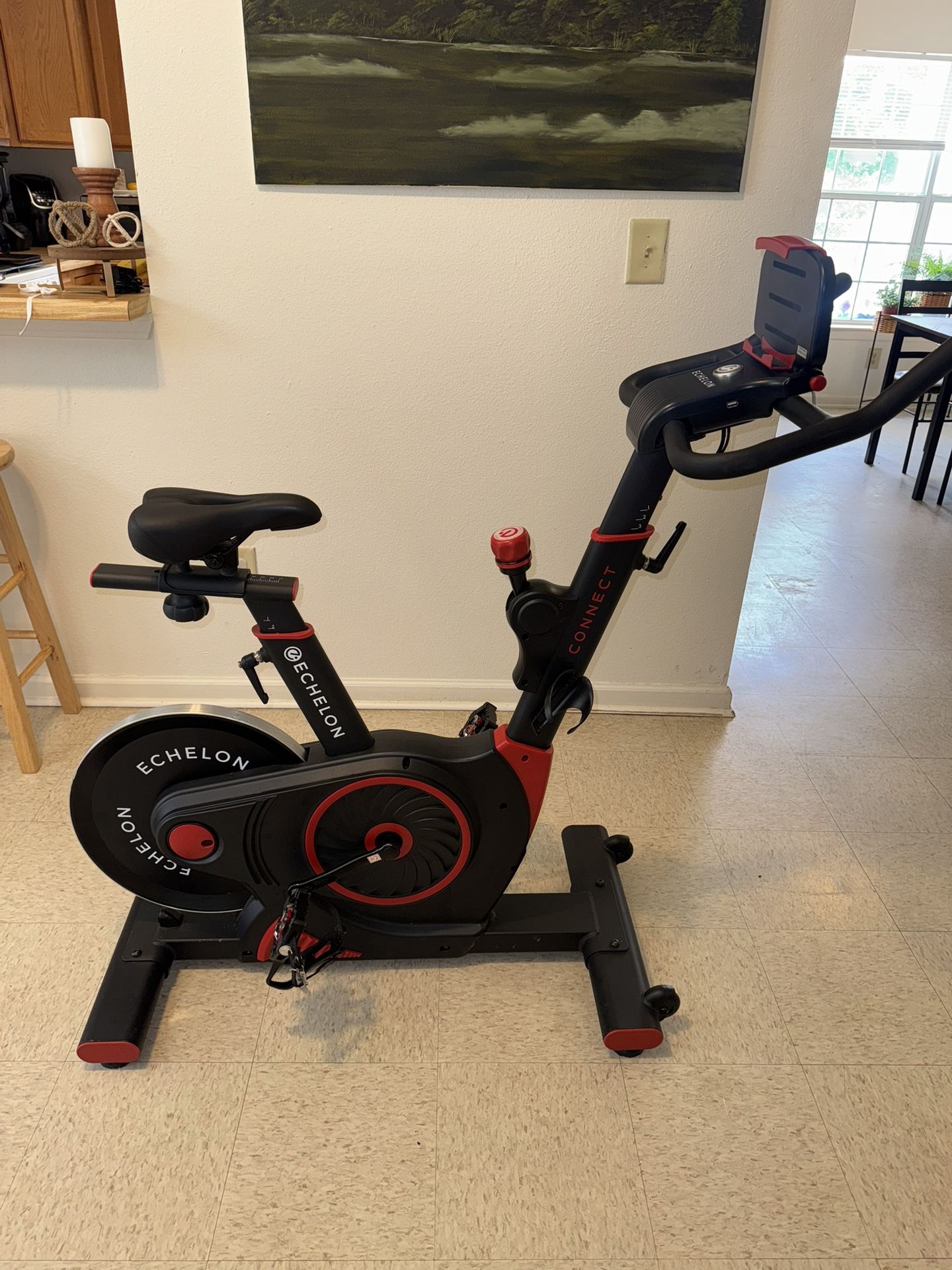 Cycling Bike (Echelon Smart Connect EX-3)