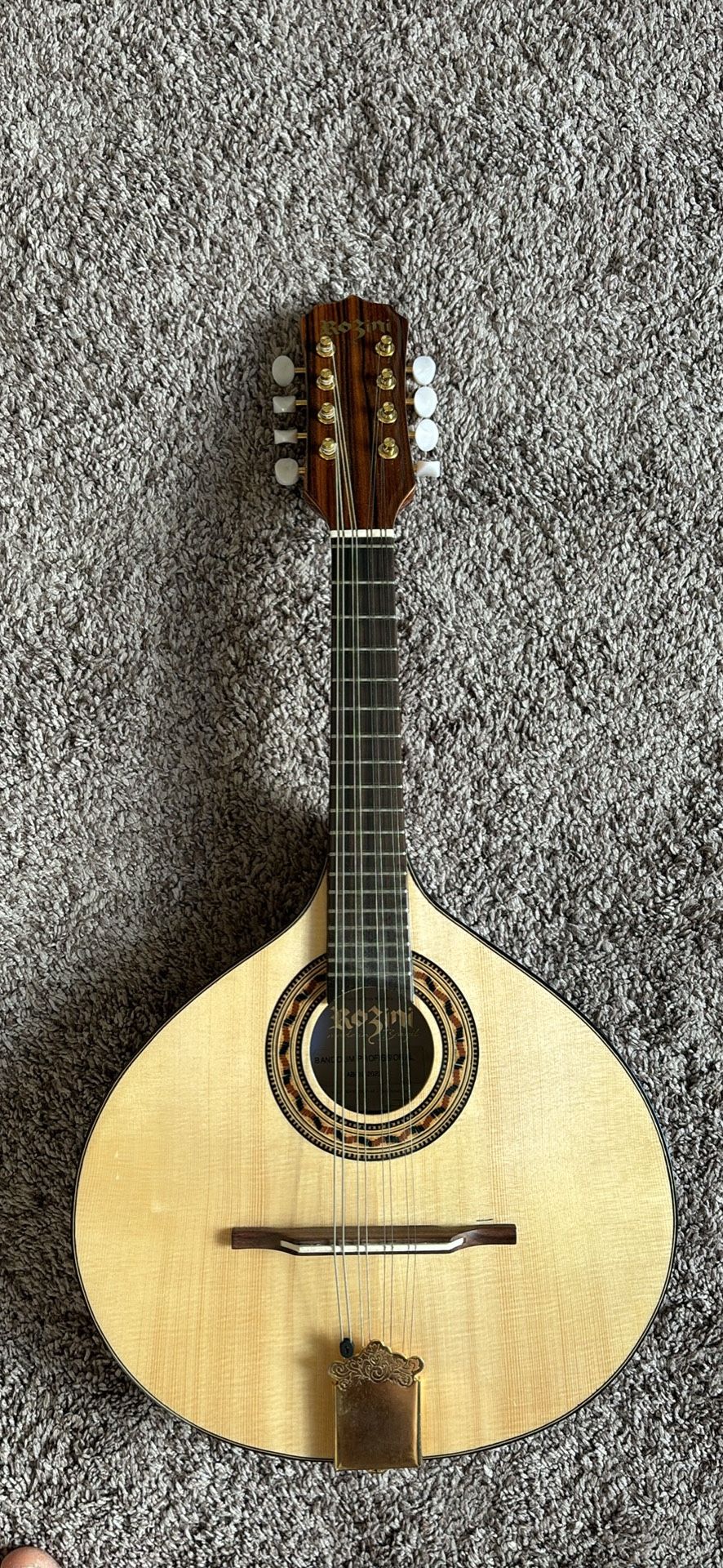 Rozini professional mandolin / Bandolim