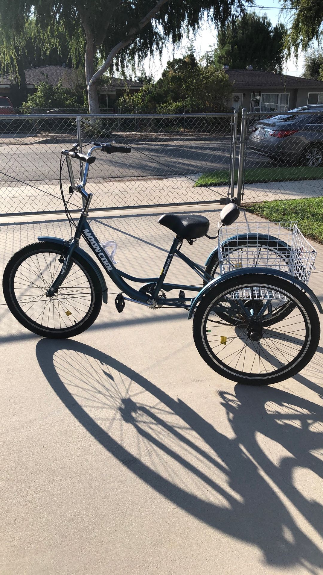 Adult Tricycle