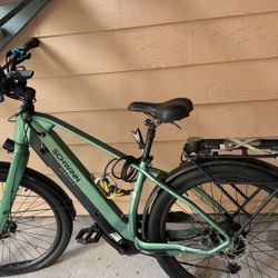 Scwinn Electric Bike