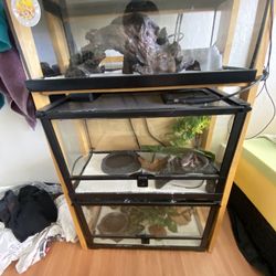 Reptile Stuff And More
