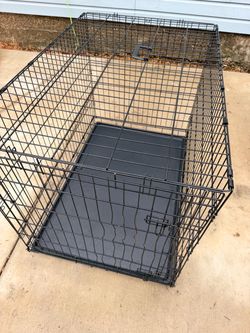 Kennel