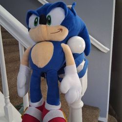 Sonic Bavk Pack