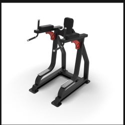 QLI Leg Raise & Dip Machine 