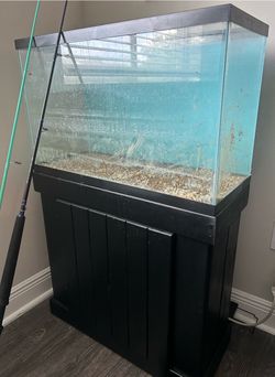 20 gallon fish tank